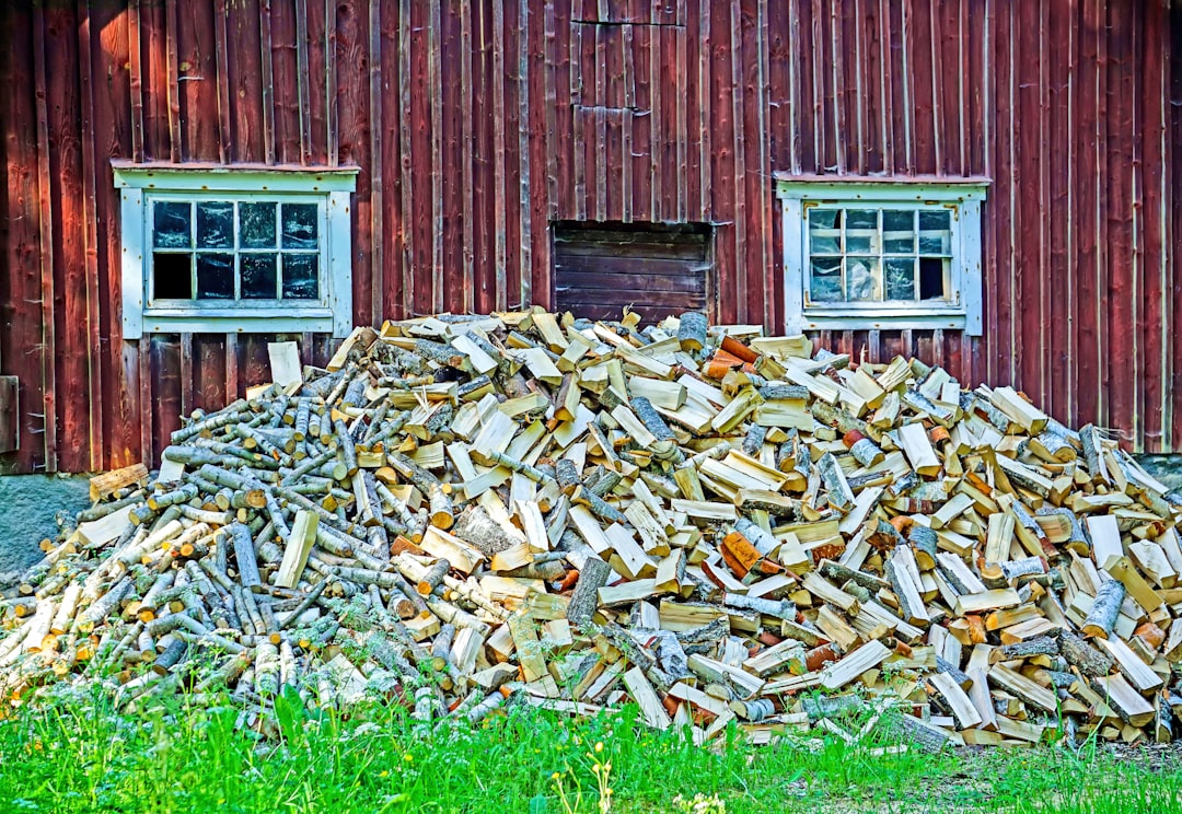 découvrez tout sur la biomasse, une source d'énergie renouvelable et durable provenant des matières organiques pour un avenir écologique.
