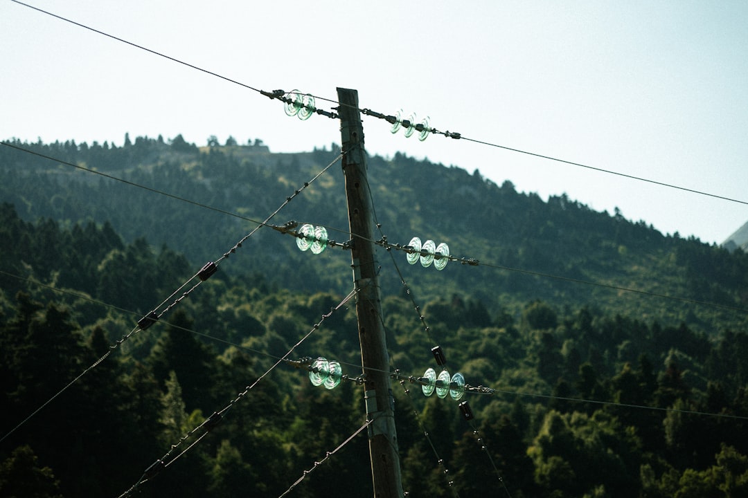 découvrez l'isolation naturelle, une solution écologique et efficace pour améliorer le confort thermique de votre habitat tout en respectant l'environnement.